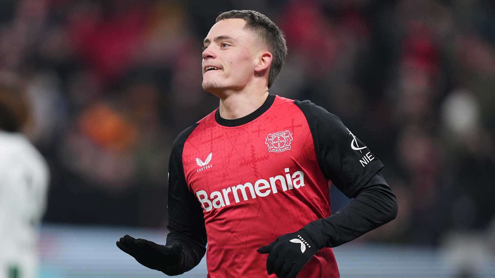 的执教中 的执教中